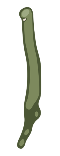 Course 7