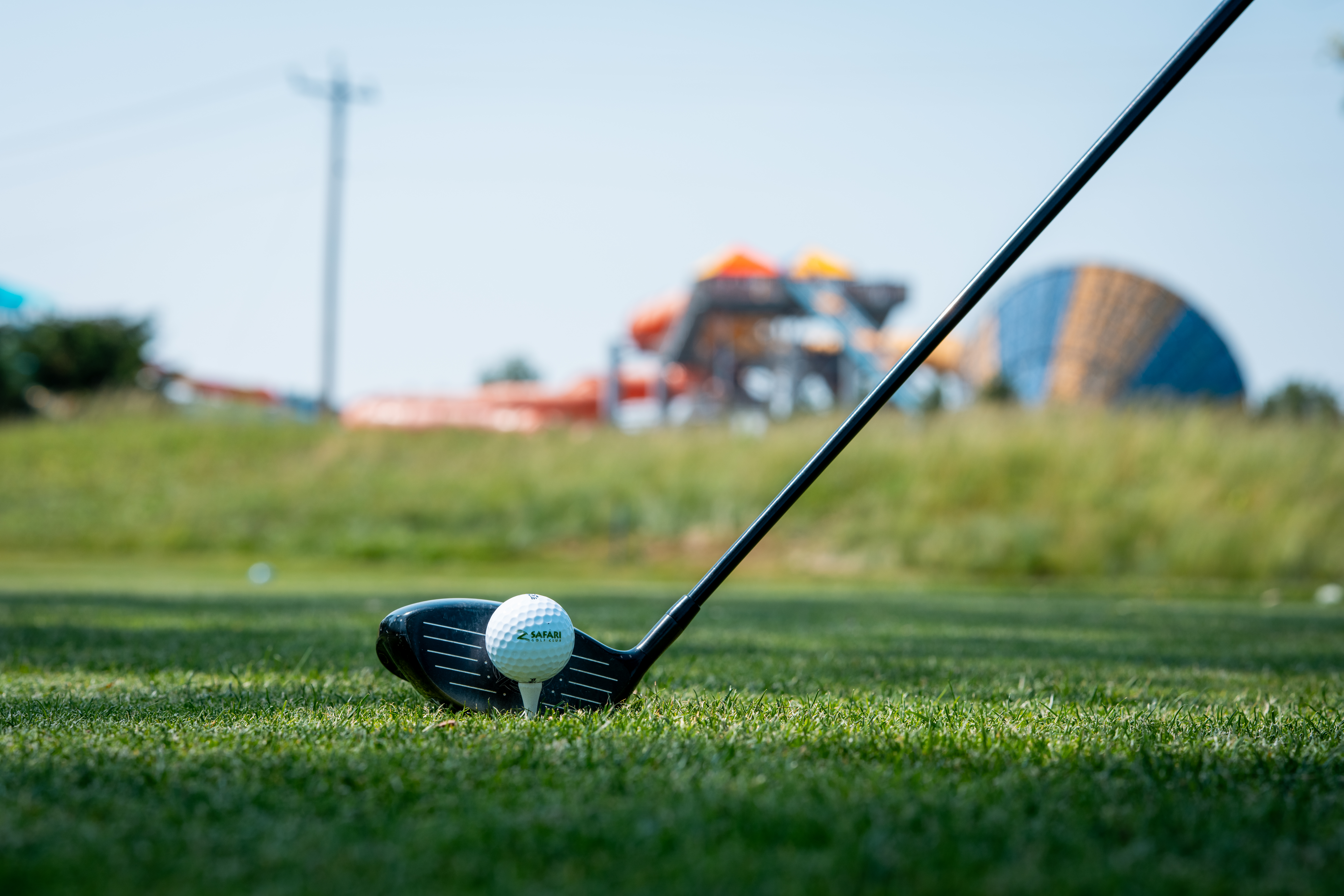 Golf club and ball on green