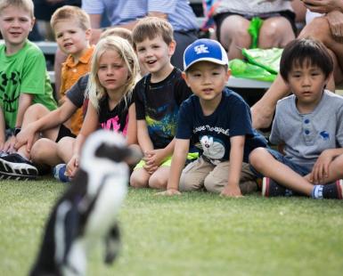 penguins with kids in background