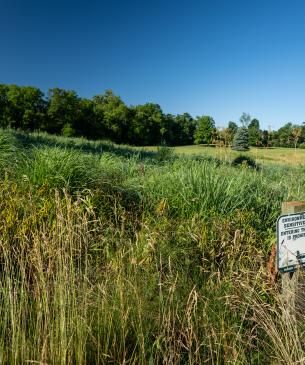 Field at golf course