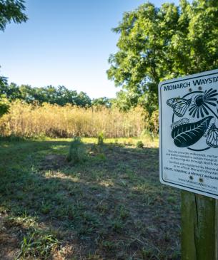 Monarch sign