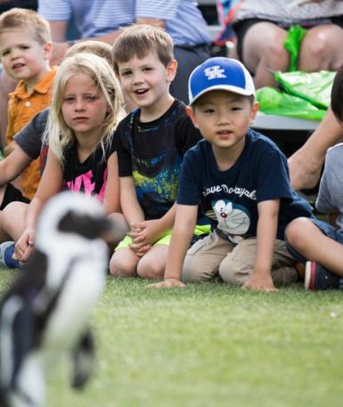 penguin with kids in background