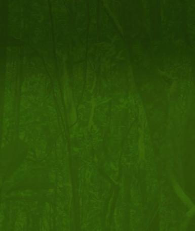 Green Pattern